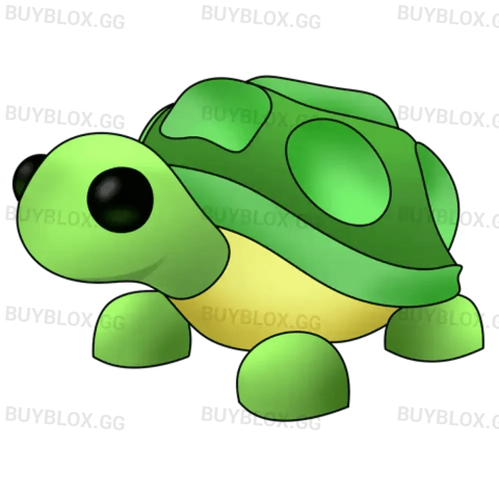 NFR Turtle