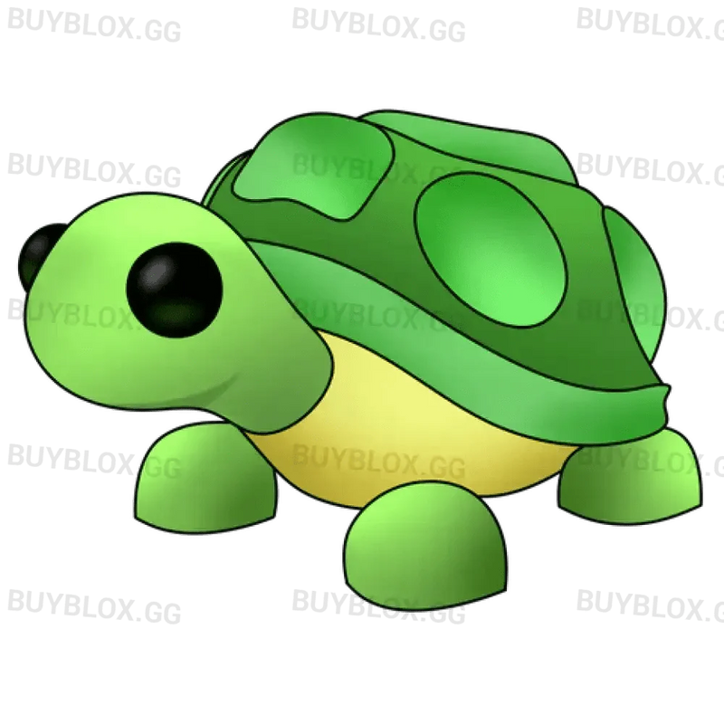 NFR Turtle