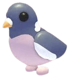 NFR Wood Pigeon