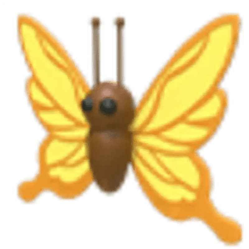 NFR Yellow Butterfly