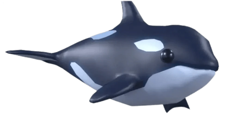 Orca