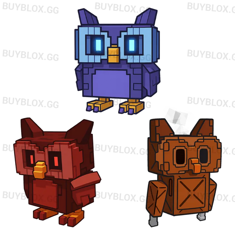 Owl Bundle
