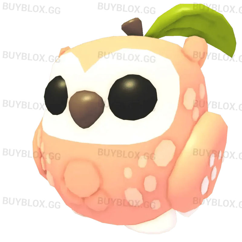 Peach Owl