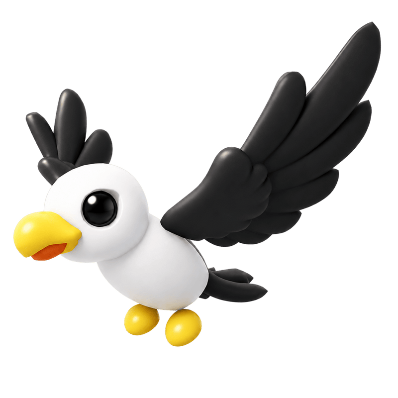 Pilot Gull