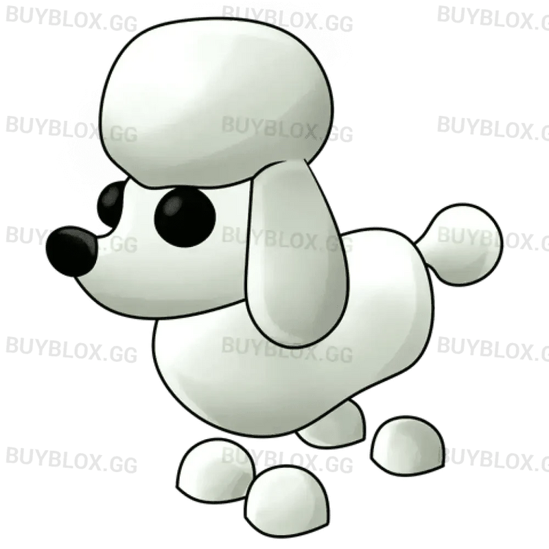 Poodle