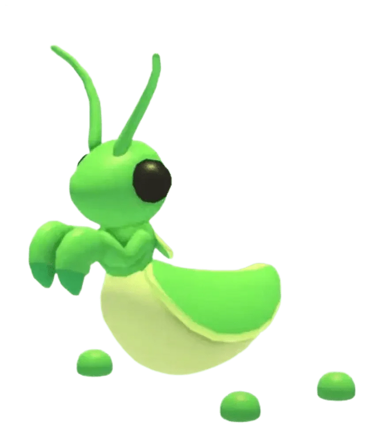 Praying Mantis