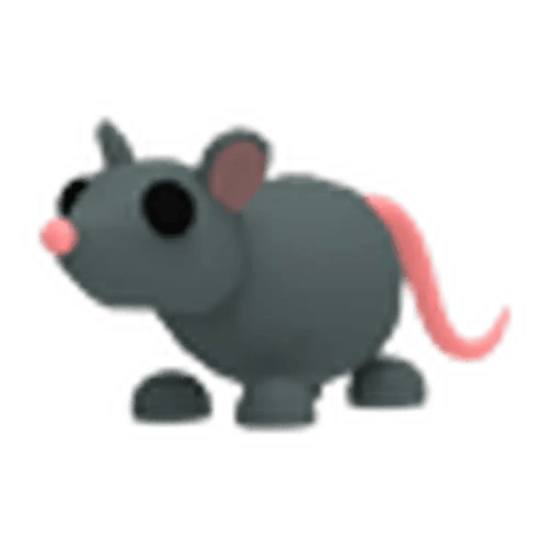 Rat
