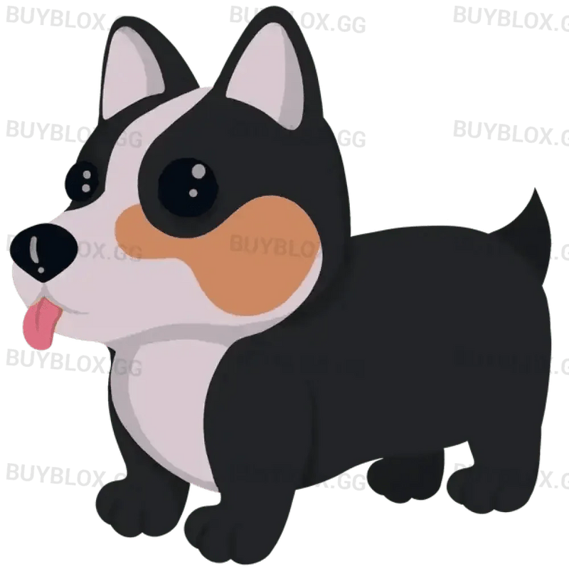 Royal Corgi
