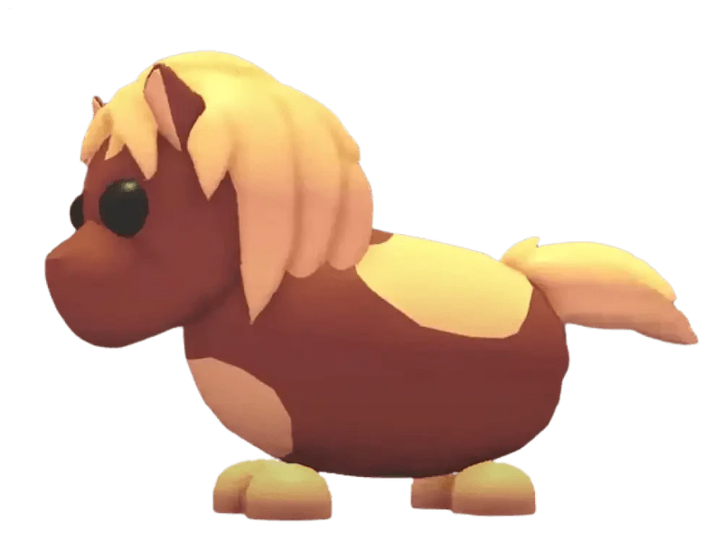 Shetland Pony Dark Brown