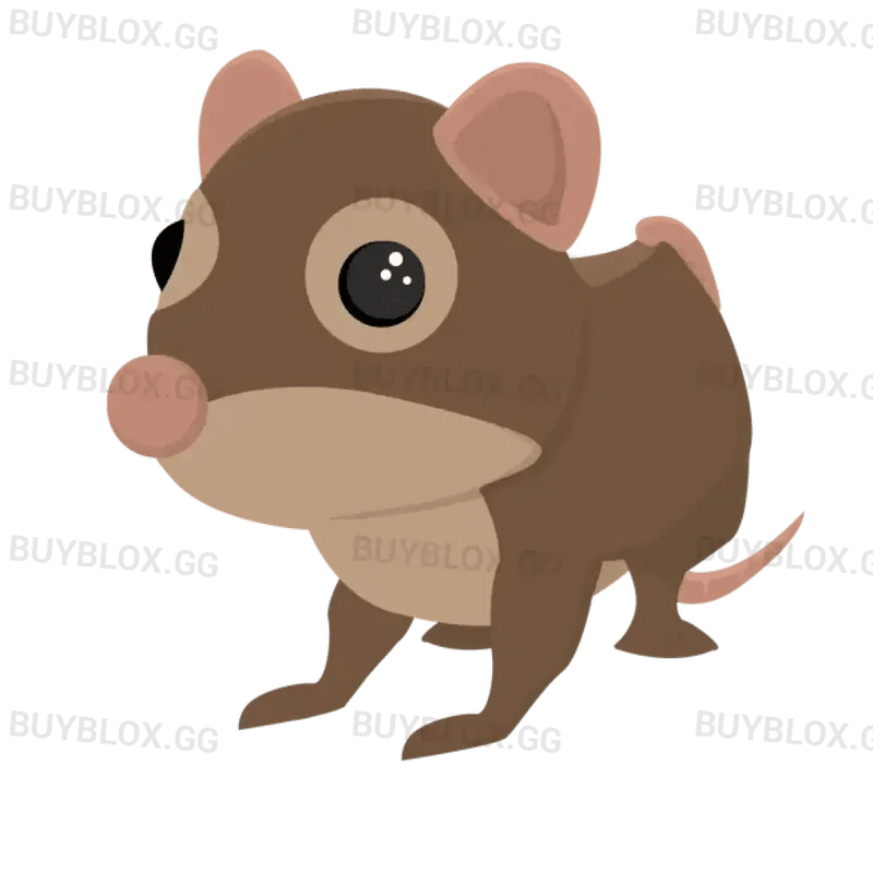 Shrew